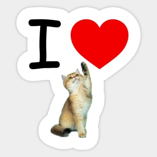 I HEART CARMEL KITTEN Sticker